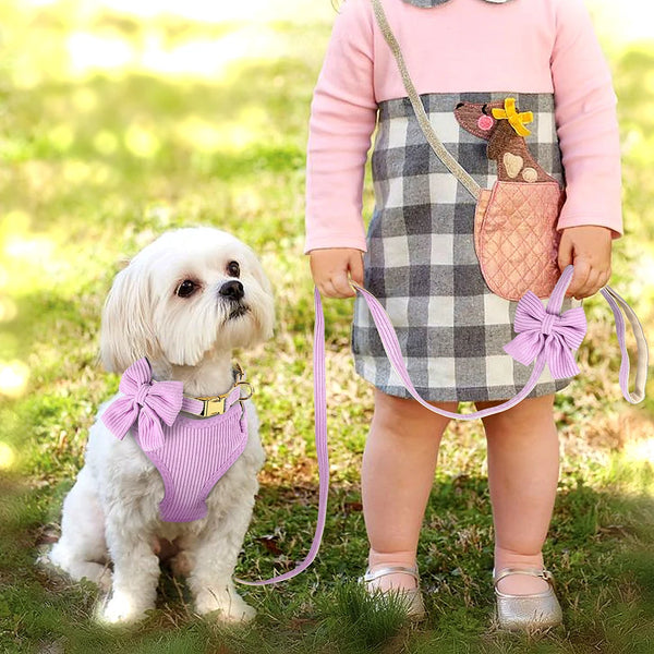 Ensemble harnais et laisse réglables pour chien avec nœud papillon mignon