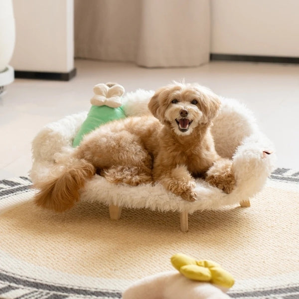 Cama de madera para mascotas, cama para perros y gatos, cama de lujo para gatos, cama de seguridad para mascotas, cama para perros de tamaño pequeño y mediano