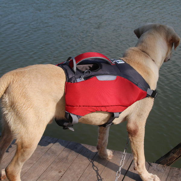 Gilets de sauvetage pour animaux de compagnie