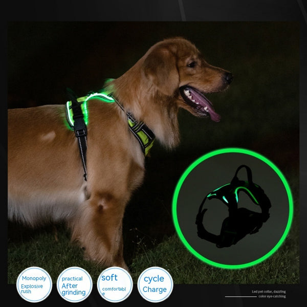 Nuevo chaleco luminoso LED para perros y gatos con luz LED ajustable para evitar accidentes de tráfico durante el paseo nocturno