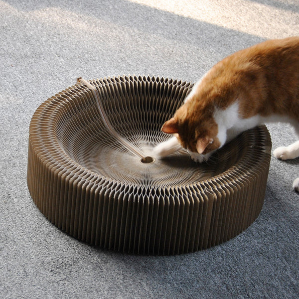 Planche à gratter ondulée Organ Nest pliable grand jouet pour chat taille-griffes fournitures pour animaux de compagnie