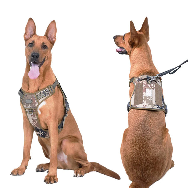 Adjustable Tactical Dog Harness for Large Breeds