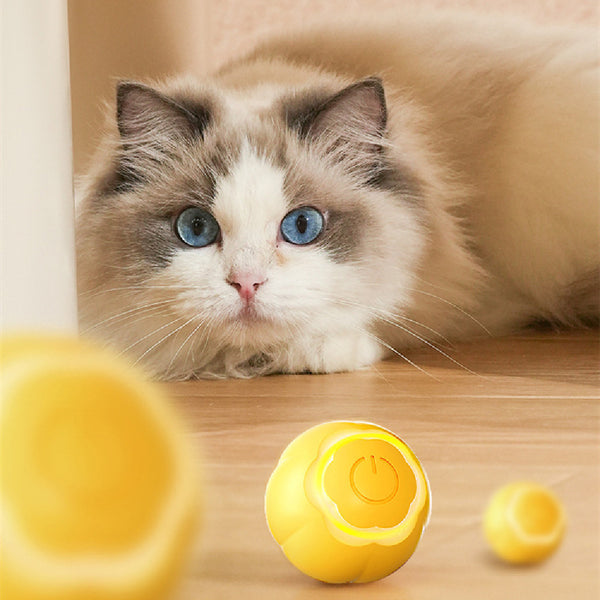 Jouet pour chat Pet Smart Rolling Ball résistant aux morsures et soulageant l'ennui