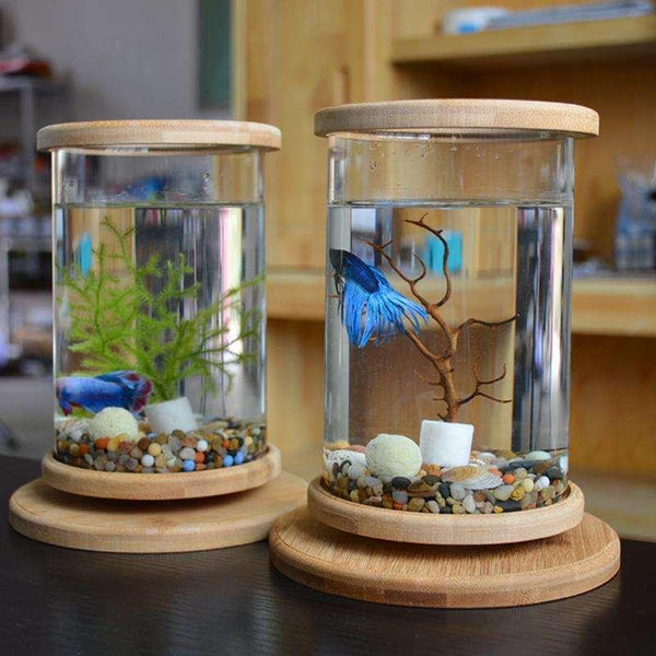 Rotatable Mini Fish Tank