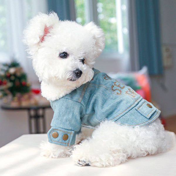 New Pet Plush Thick Denim Cotton Coat English Letters