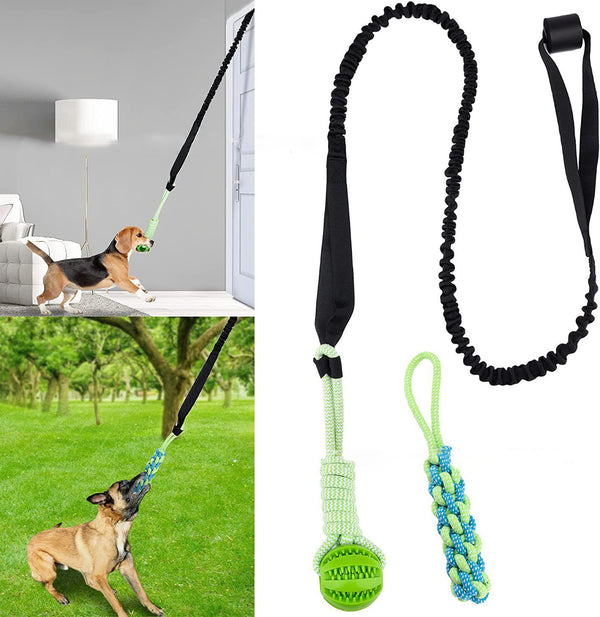 Corde à tirer pour chien, jouet pour nettoyage des molaires, morsure des dents, extérieur et intérieur