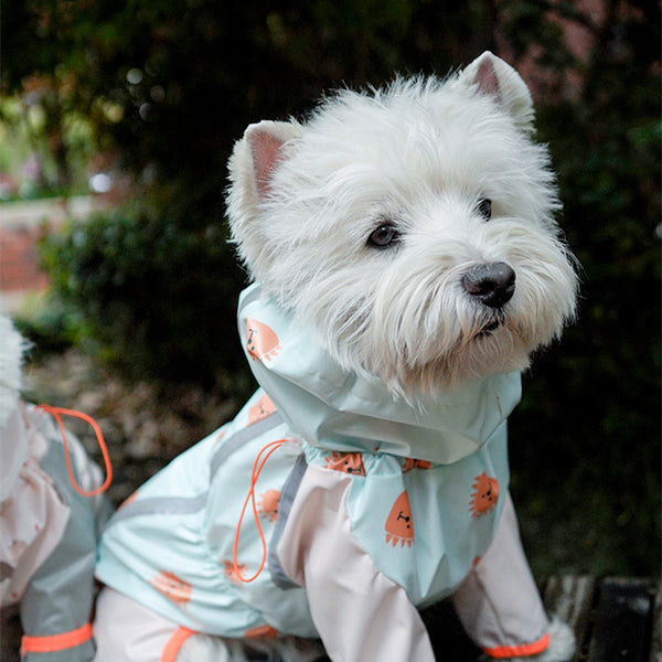 Paquete completo de impermeable de cuatro patas para mascotas con reflectante, resistente al agua y al viento