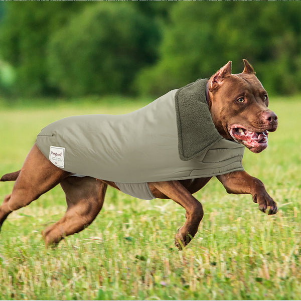 Gilet chaud et résistant au froid pour chien, col roulé à revers, vêtements rembourrés en coton, couleur unie