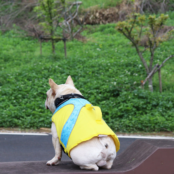 Bright Color Contrast Dog Life Jacket Swimsuit