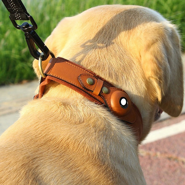 Collar de cuero para mascotas con primera capa y rastreador de ubicación