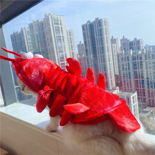 Vêtements de homard pour chat d'Halloween Nouvel An Noël