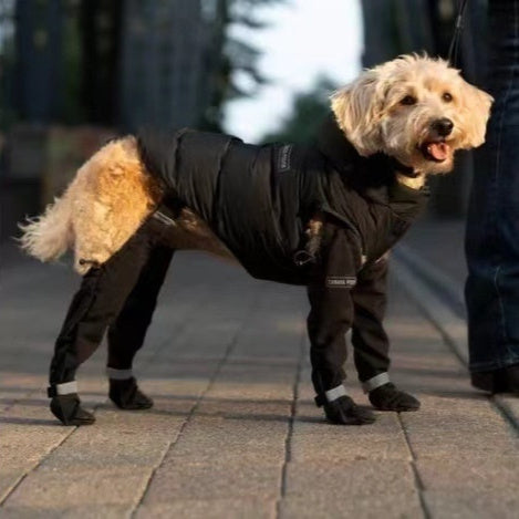 Cinturón elástico con reflectante para zapatos de mascotas, impermeable