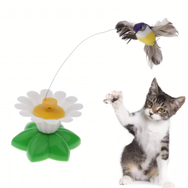 Jouet électrique rotatif en forme de papillon pour chat