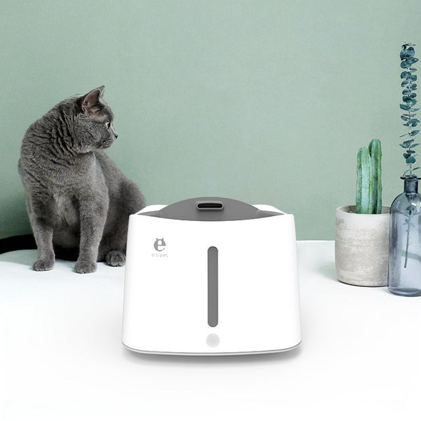 Abreuvoir pour chat avec filtre et circulation automatiques