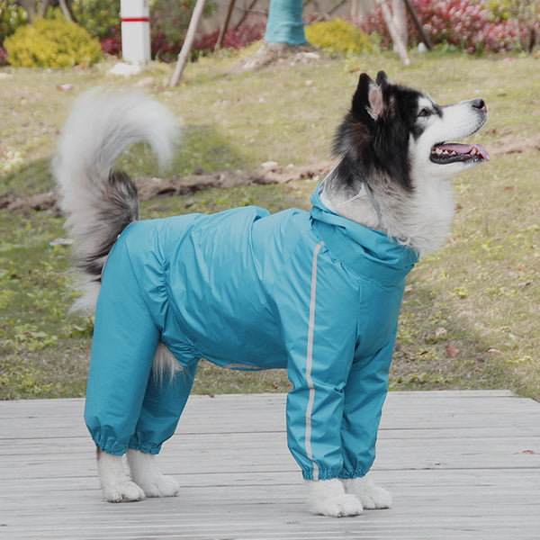 Poncho pour chien de taille moyenne et grande taille