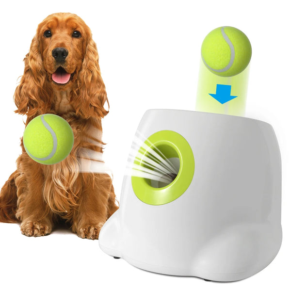 Jouet interactif pour chien : lanceur automatique de balles de tennis