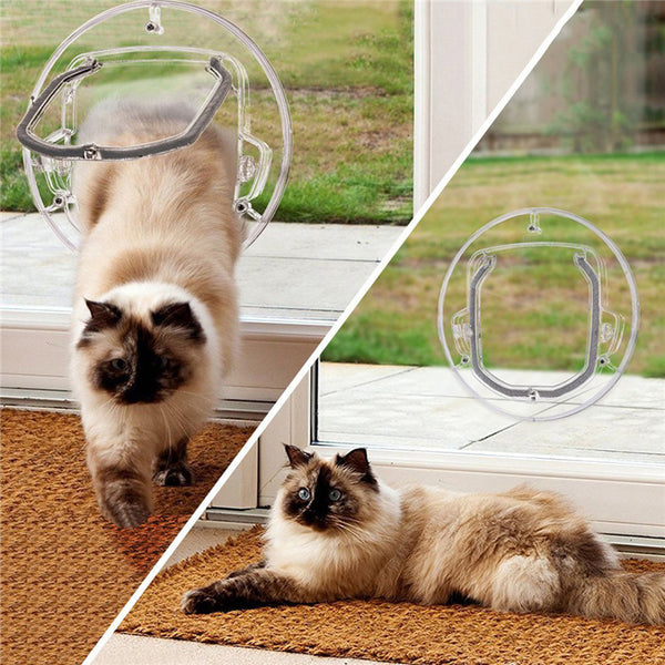 Glass door cat puppies door hole