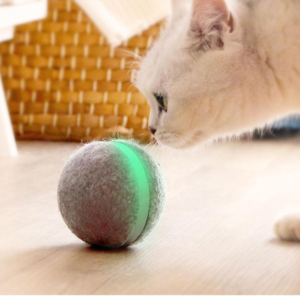 Pelota que rebota para juguetes de gatos 