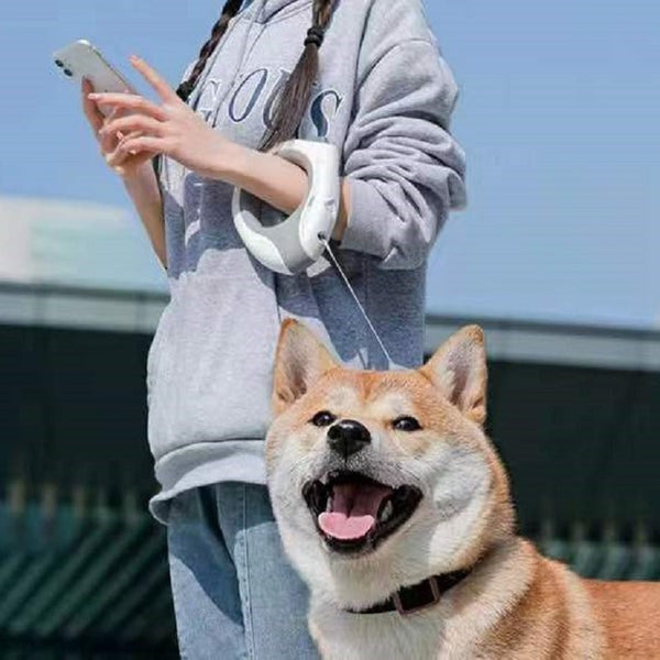 Cuerda de tracción telescópica automática para mascotas