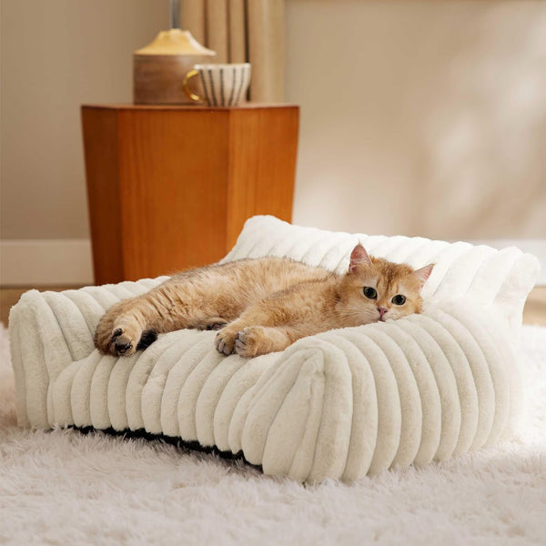 Canapé pour chat mignon Bedsure pour animaux de compagnie - Canapé pour chat moelleux avec polaire en velours côtelé doux de qualité supérieure - Lit pour chat moelleux avec housse - Chaise de soutien pour chat d'intérieur