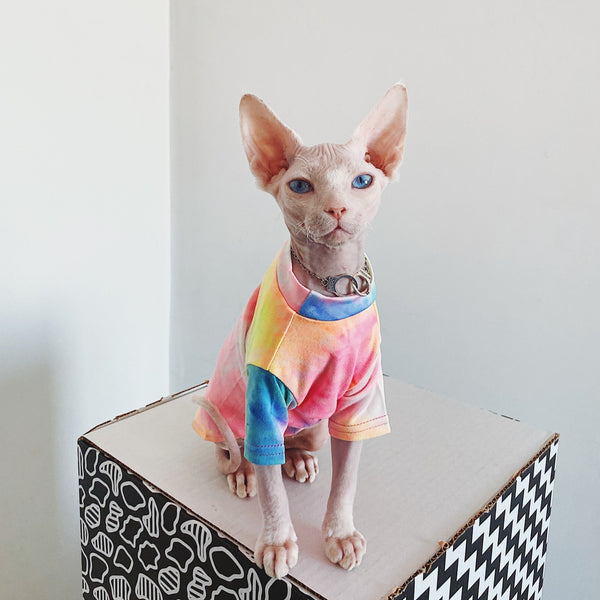 Hairless Cat Clothes Tie-dye Rainbow Primer