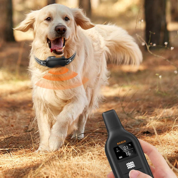 Collar de entrenamiento eléctrico para perros