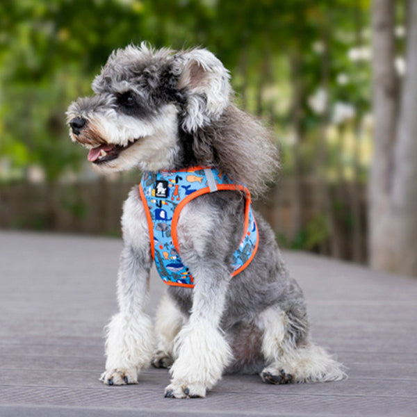 Sangle de gilet pour chien tenant la corde à la main respirante et légère