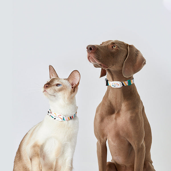 Dispositivo Bluetooth portátil inteligente para mascotas Marca para gatos Marca para perros