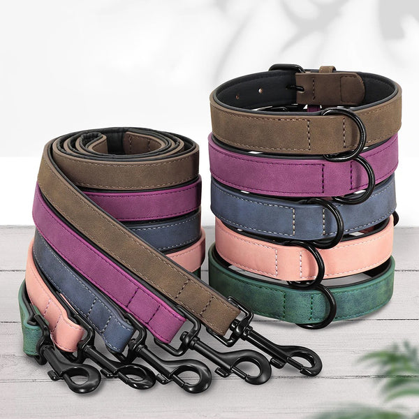 Conjunto de collar y correa acolchados y duraderos para perros de razas grandes