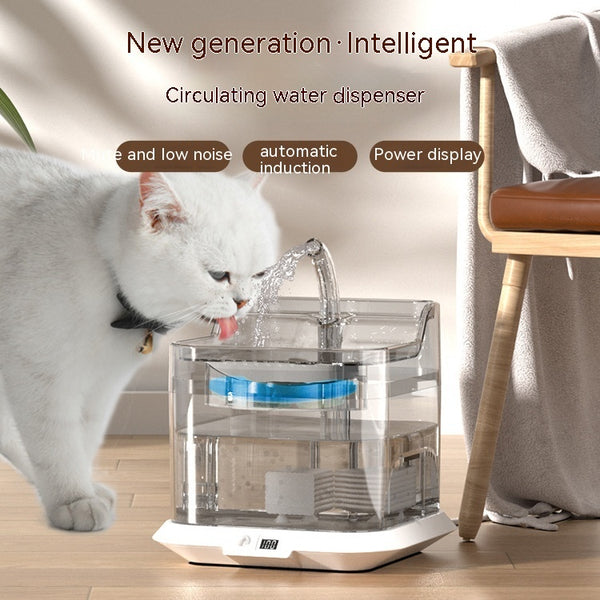 Distributeur d'eau intelligent à circulation pour animaux de compagnie et chats