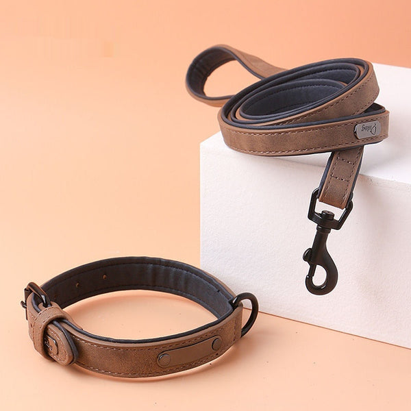 Simple And Portable Anti Loss Adjustable Dog Collar