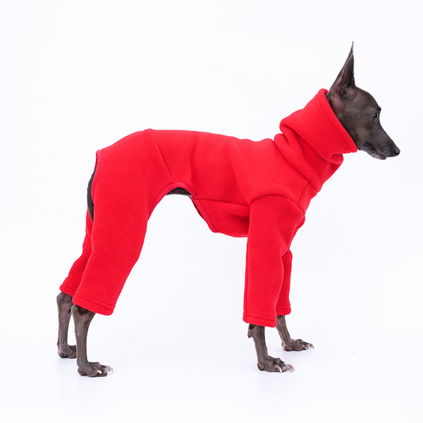 Ropa de moda para perros de pelo muy grueso