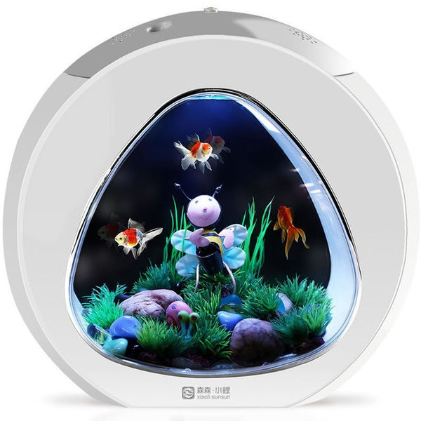 Aquarium de bureau pour poissons