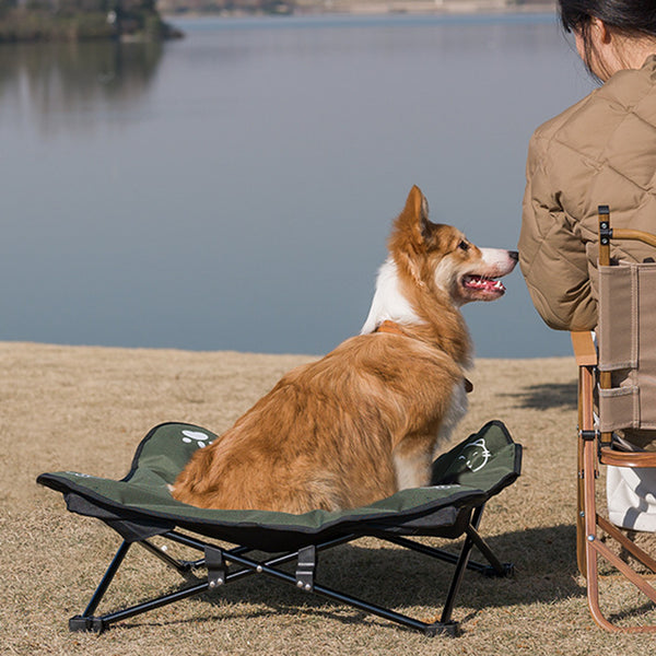 Cama plegable para mascotas para exterior, desmontable y lavable