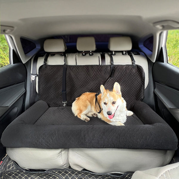 Tapis de voiture amovible et lavable pour animal de compagnie