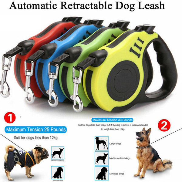 Laisse rétractable automatique pour chien Collier pour animal de compagnie Laisse de marche automatique sans plomb