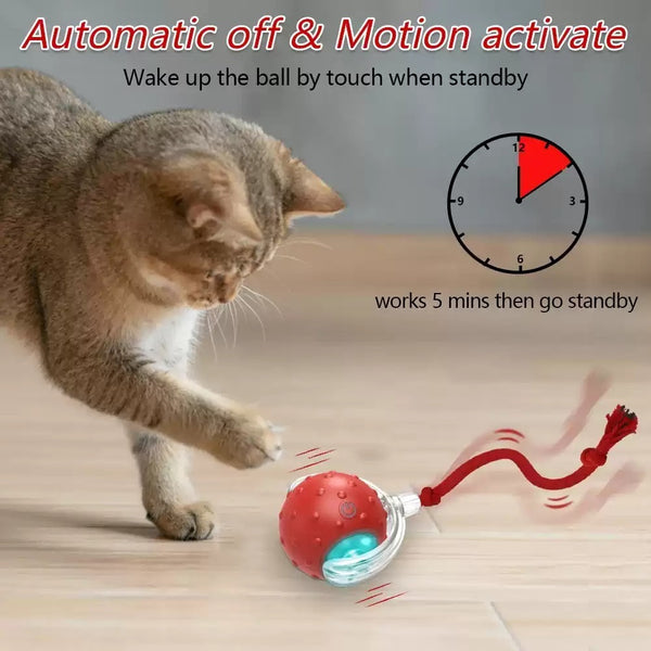 Jouet interactif pour chat Balle Super Drive Cat Rolling Balls avec