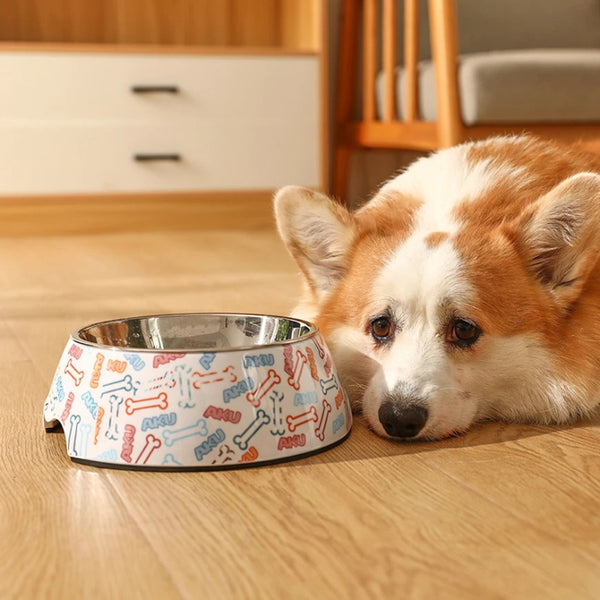 Gamelle anti-basculement en acier inoxydable pour animaux de compagnie