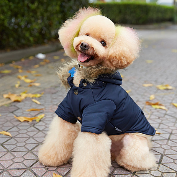 Otoño e invierno nuevos suministros para mascotas ropa para perros