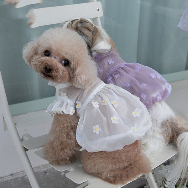 Streamer Three-dimensional Flower Gauze Skirt Dog Clothes