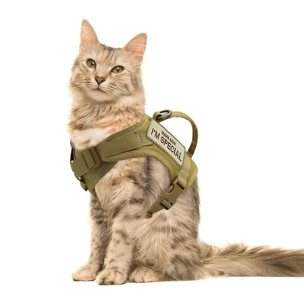 Gilet harnais en nylon pour chat