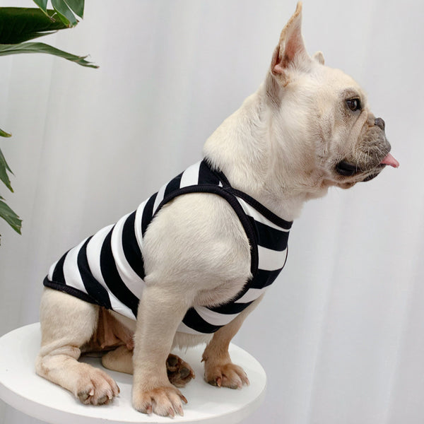 Fashionable And Personalized Dog Summer Clothes Thin Section