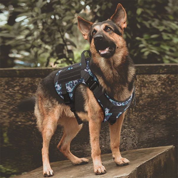 Arnés de tracción cerrada de camuflaje táctico para mascotas grandes al por mayor