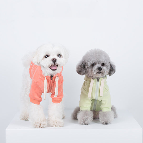 Macaron Hooded Pet Sweatshirt Casual