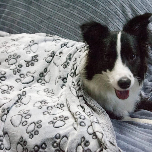 Manta suave y cálida para perros con lindas huellas de patas