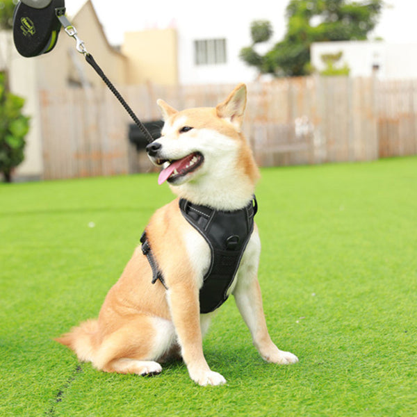 Correa para el pecho con luz LED y GPS para perros