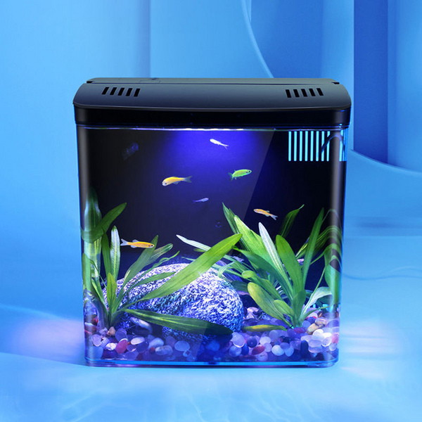 Mini aquarium à circulation automatique