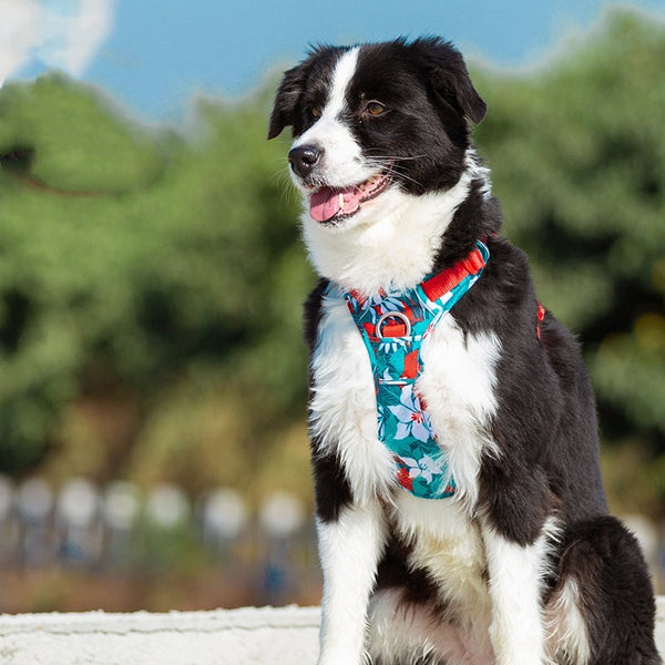 Correa para el pecho para perros con cuerda de sujeción manual de camuflaje