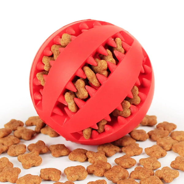 Balle de friandises interactive pour chien pour le nettoyage des dents et le jeu