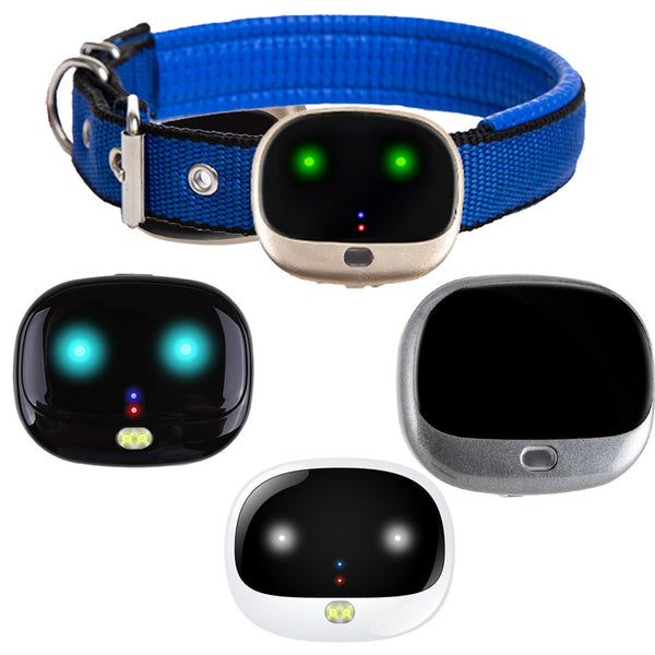 Collier de localisation pour chien All Netcom Pet